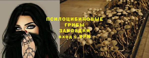 бошки Армянск