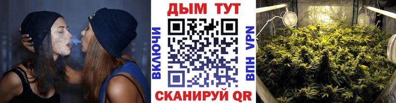 Каннабис семена Сасово